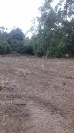 Imagem Terreno excelente a venda para Chácara com 8 mil m² no asfalto - em Quadra