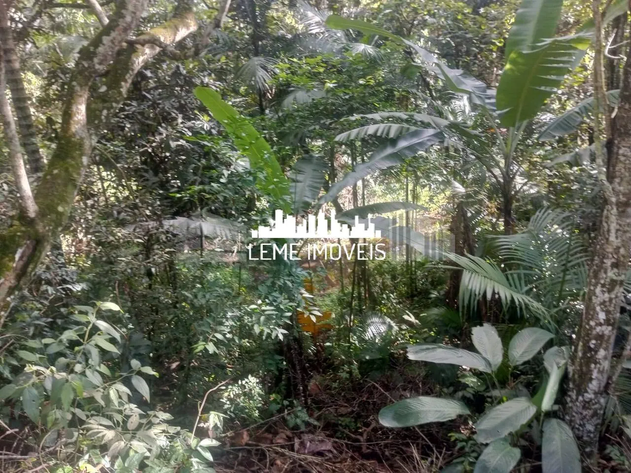 Imagem LINDO SITIO RICO EM ÁGUA MEDINDO 140,00 MIL METROS!!!