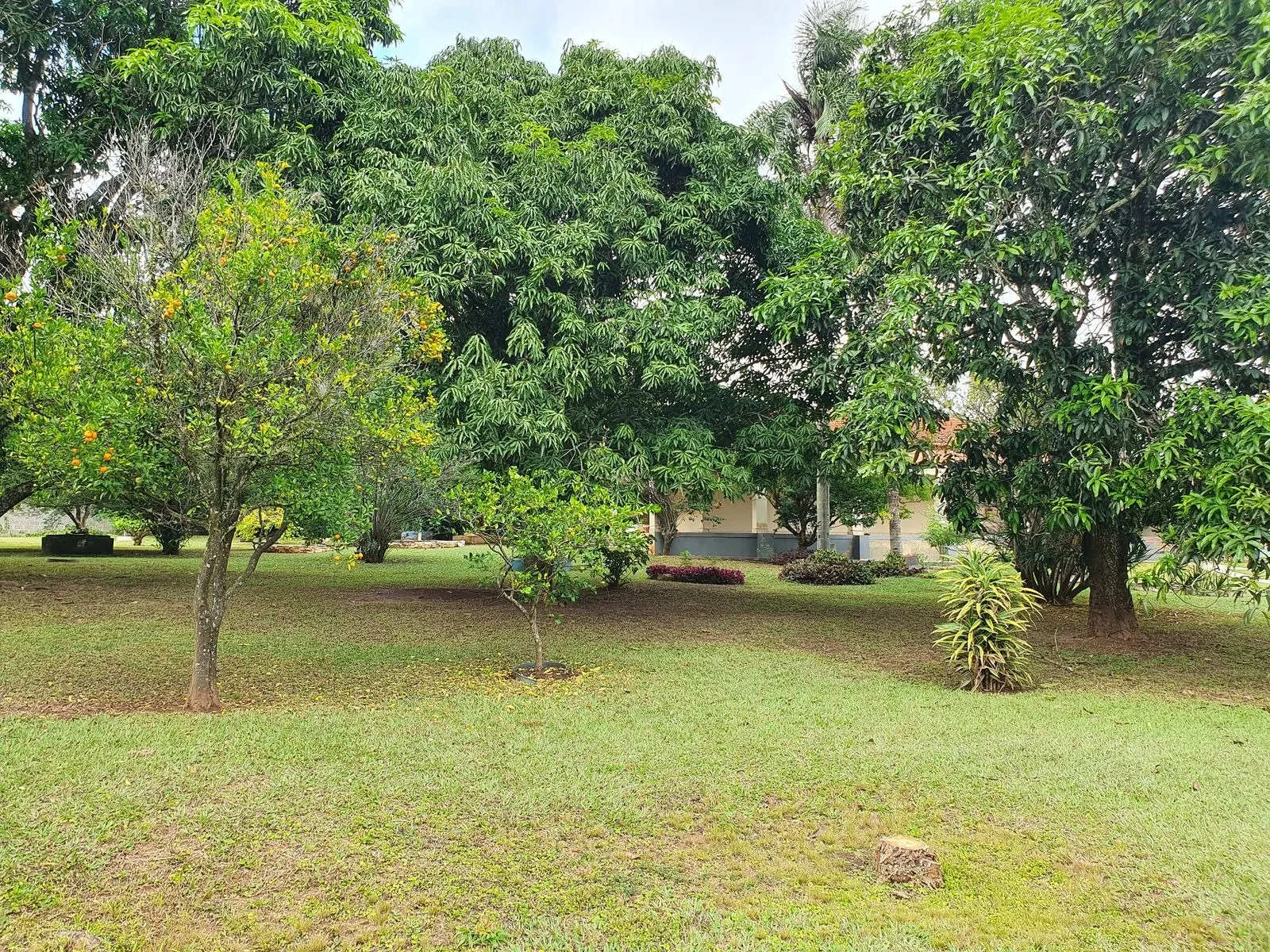 Imagem Chácara Completa à Venda em Araçoiaba da Serra - Bairro Araçoiabinha