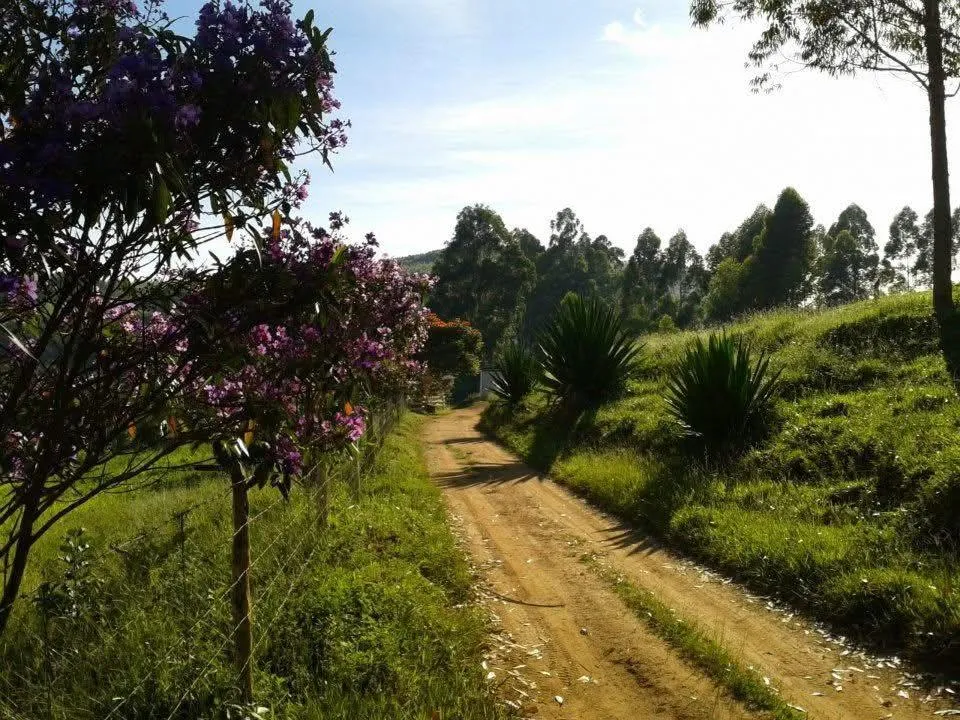 Imagem Vendo excelente sítio em Desterro de Entre Rios/MG, com 30.000 m² de área