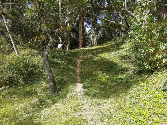 Imagem Sitio com 6 alqueires Tapiraí