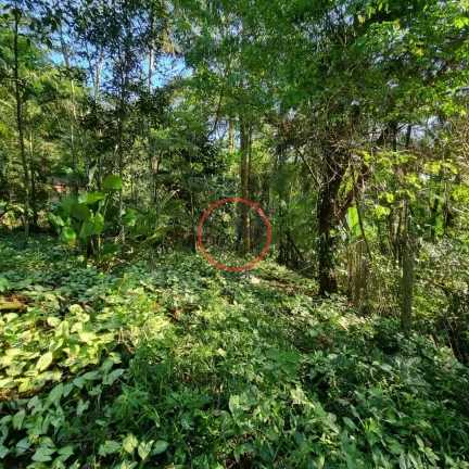 Imagem Lindo terreno na Beira Rio, com 1500 mt com patamar e area de preservaçao.