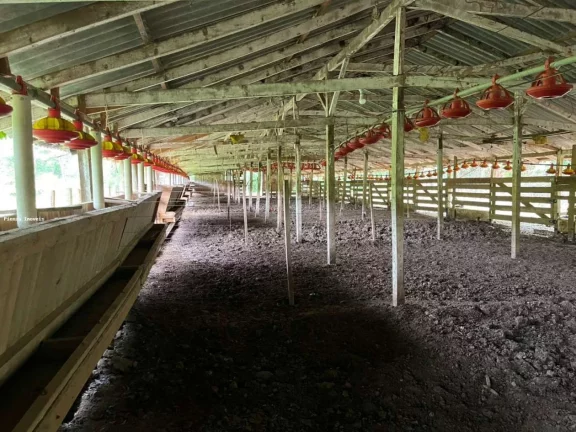 Imagem Área Agrícola para Venda em Ipumirim, Interior, 3 dormitórios, 1 banheiro, 2 vagas