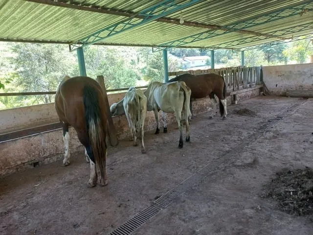 Imagem Chácara à venda 121000M², Rio Abaixo, São Luiz do Paraitinga - SP