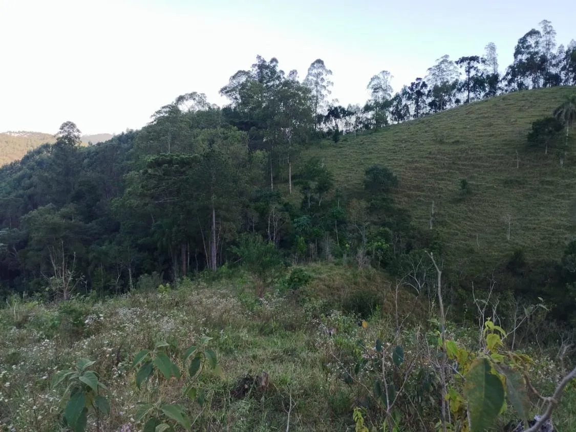Imagem 4 Alqueires à Venda em Piracaia ? Ótima Localização!