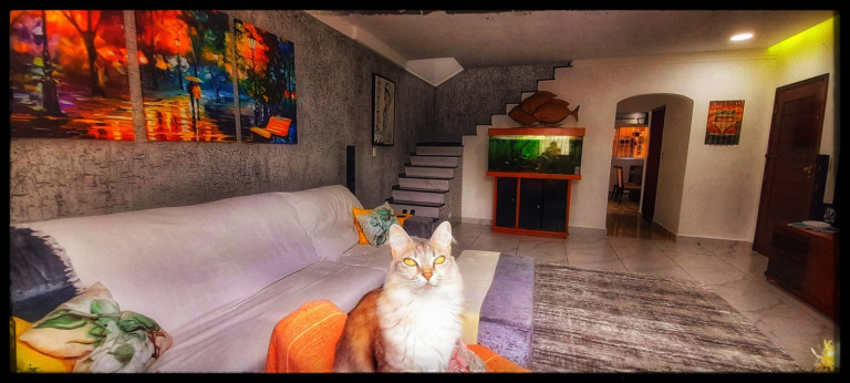 Imagem Sobrado com 2 Quartos à Venda, 127 m² em Caiçara - Praia Grande