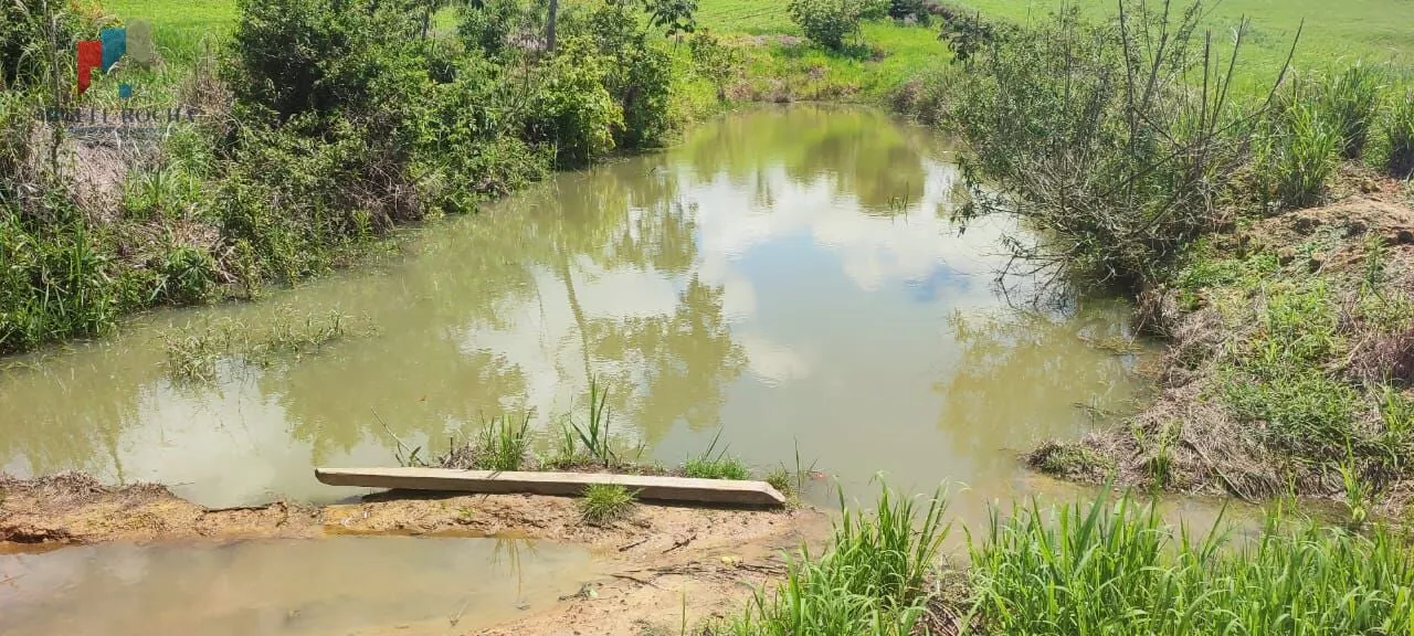 Imagem Sítio a venda em Itararé SP