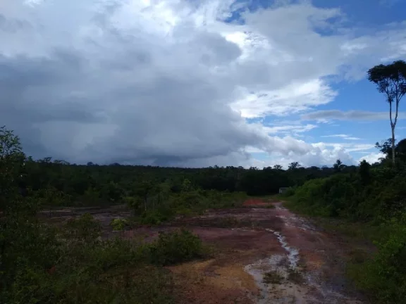 Imagem Oportunidade de adquirir uma grande área , em Rio Preto da Eva . com 15 mil hectares , escriturado e registrado