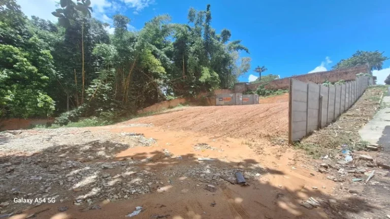 Imagem TERRENO COMERCIAL em MANAUS - AM, ALEIXO