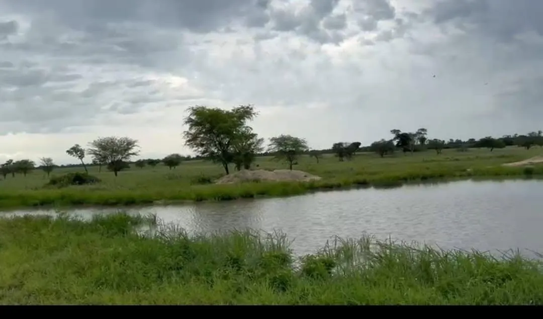 Imagem Vendo excelente fazenda em Jaíba/MG ?área total de 3.150 hectares