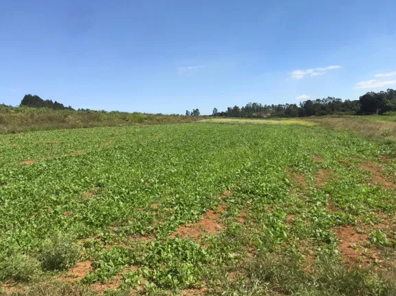 Imagem Terreno à Venda, 1.000 m² em verava - Ibiúna