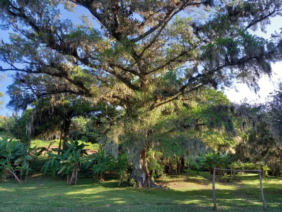 Imagem INVESTIDORES!!! Sítio com 8000m², entre as Praias de Itapuã e das Pombas