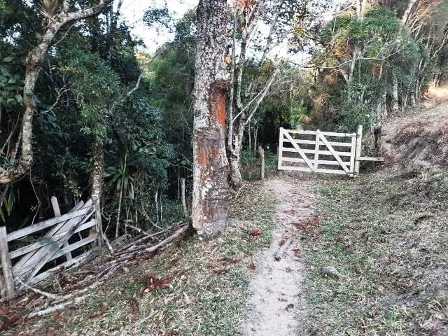 Imagem Chácara à venda 170000M², Paraibuna, Cunha - SP