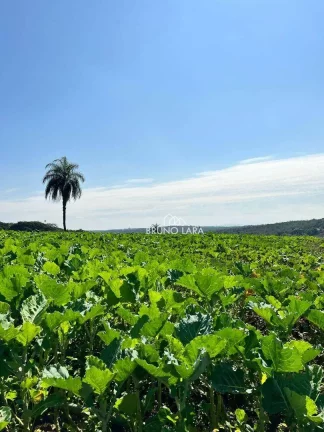 Imagem Área à venda, 550000 m² por R$ 15.000.000,00 - Rancho Três Lagoas - Igarapé/MG