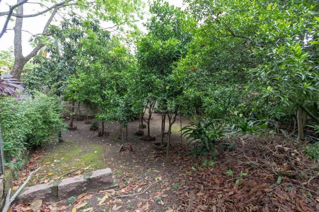 Imagem Casa para Venda - 200.81m², 4 dormitórios, sendo 1 suites, 5 vagas - Tristeza