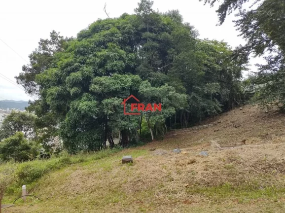 Foto do imóvel Terreno a Venda no bairro Córrego Grande - Florianópolis, SC