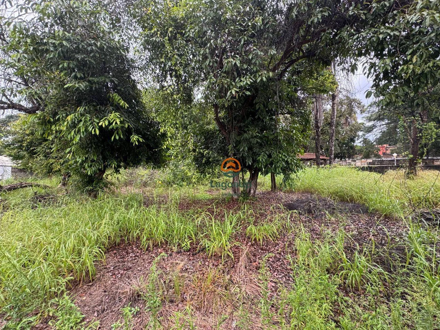 Imagem Terreno à venda no Recanto da Lagoa - Lagoa Santa, Minas Gerais