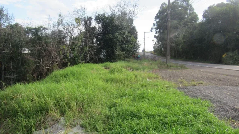 Imagem Casa para Venda em Concórdia, Santo Antônio, 2 dormitórios, 1 banheiro