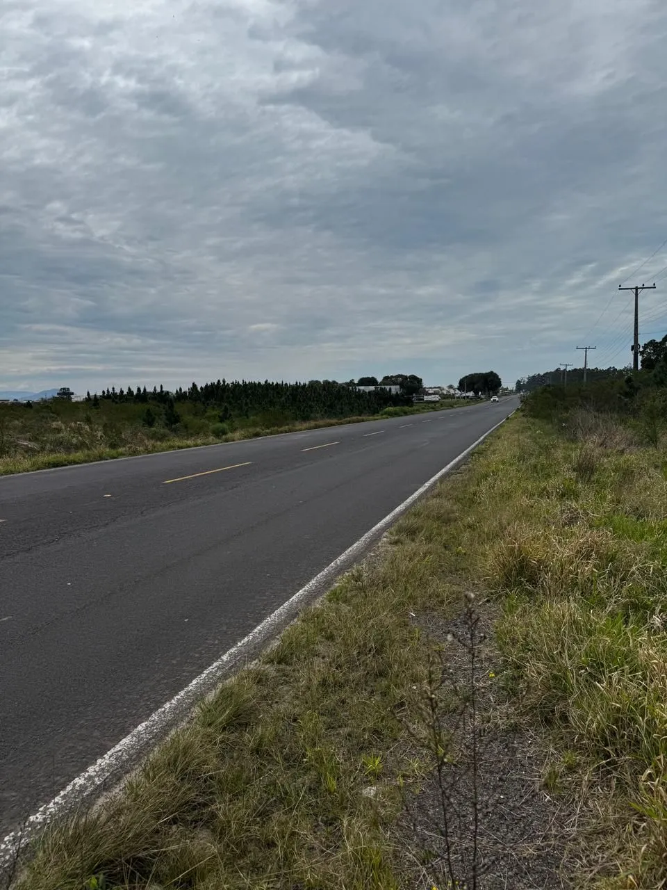 Imagem Terreno de 1 Hectare à Venda em Osório - Estrada do Mar de frente, RS com laudo Ambiental.