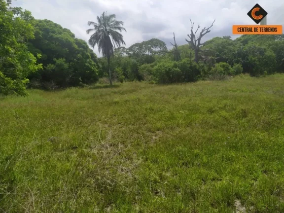 Imagem TERRENO EM ABRANTES