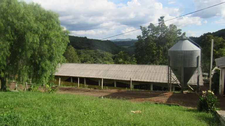 Imagem Granja para Venda em Irani, Rural