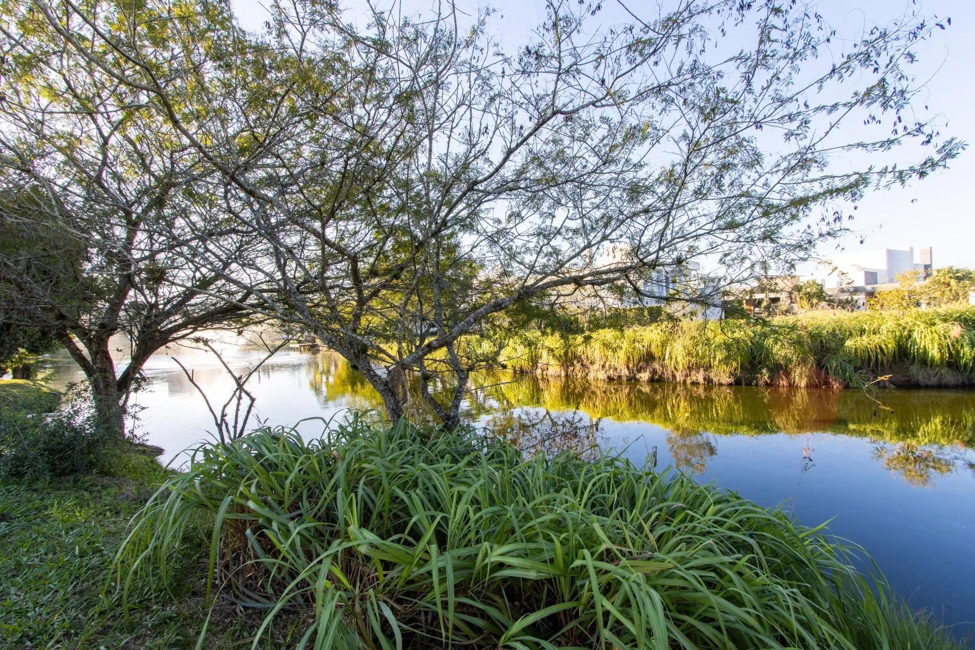 Imagem Linda Casa de 5 suítes com fundos Lago no TerraVille