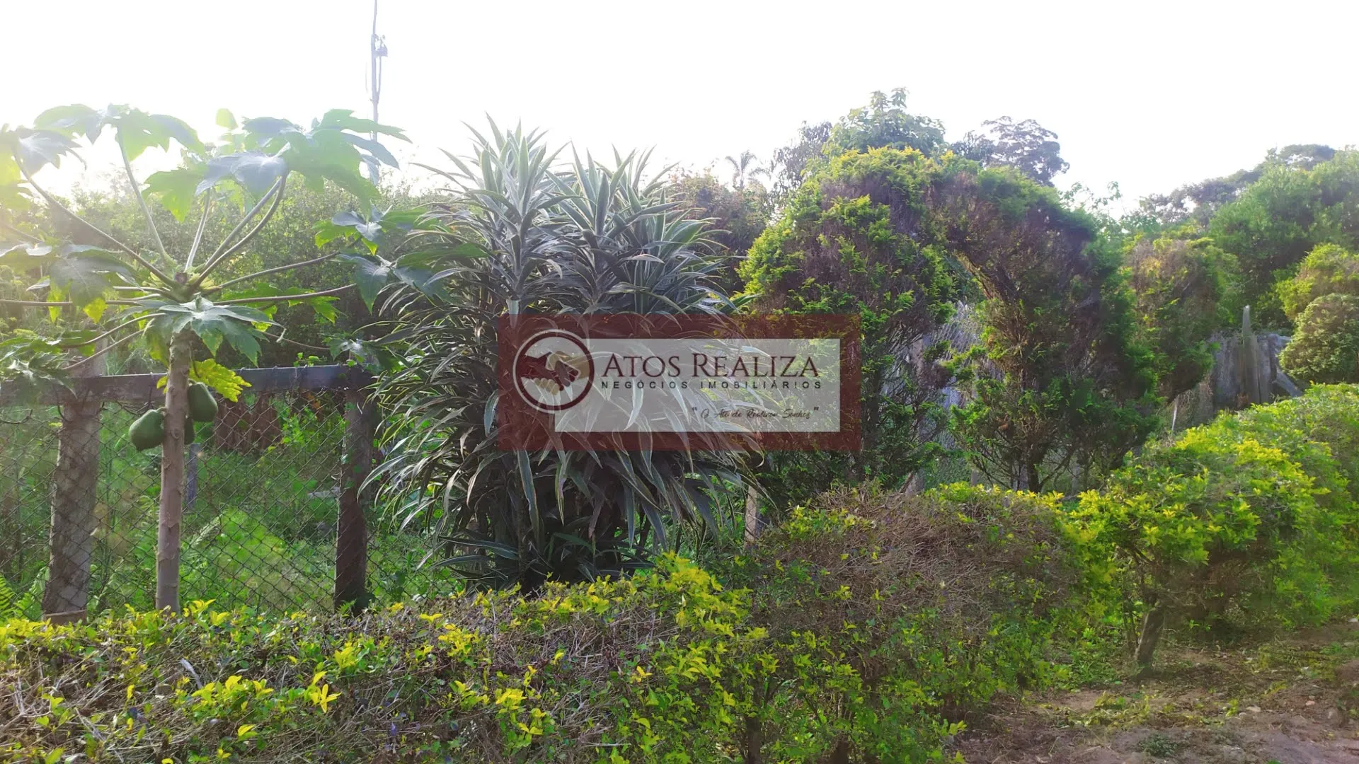 Imagem Compre Rancho/ Chácara em Jardim Santa Tereza - São Paulo