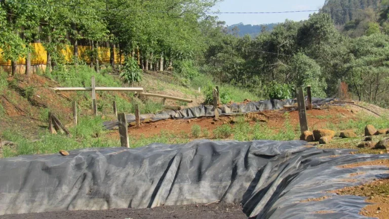 Imagem Área Agrícola para Venda em Lindóia do Sul, Interior