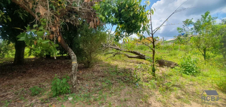 Imagem SITIO RURAL em ESMERALDAS - MG, VARGEM BENTO DA COSTA
