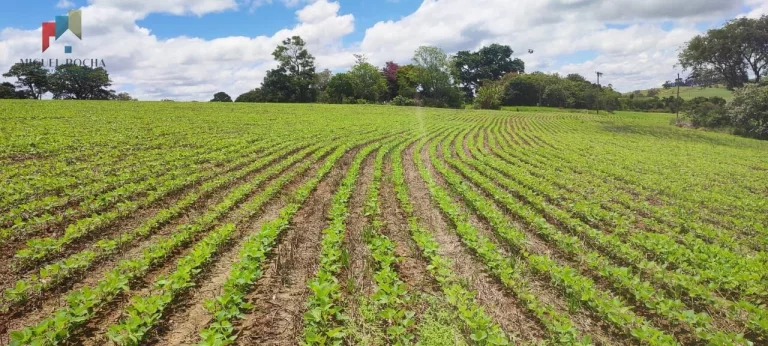 Imagem Sítio a venda em Itararé SP