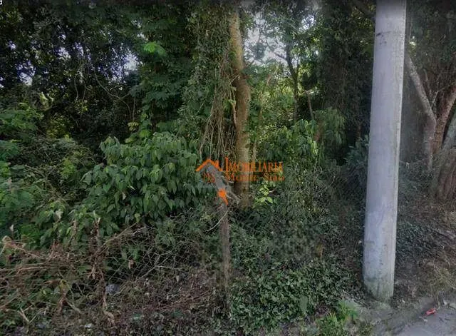 Imagem Terreno à venda, 88000 m² por R$ 7.098.000,00 - Recreio São Jorge - Guarulhos/SP
