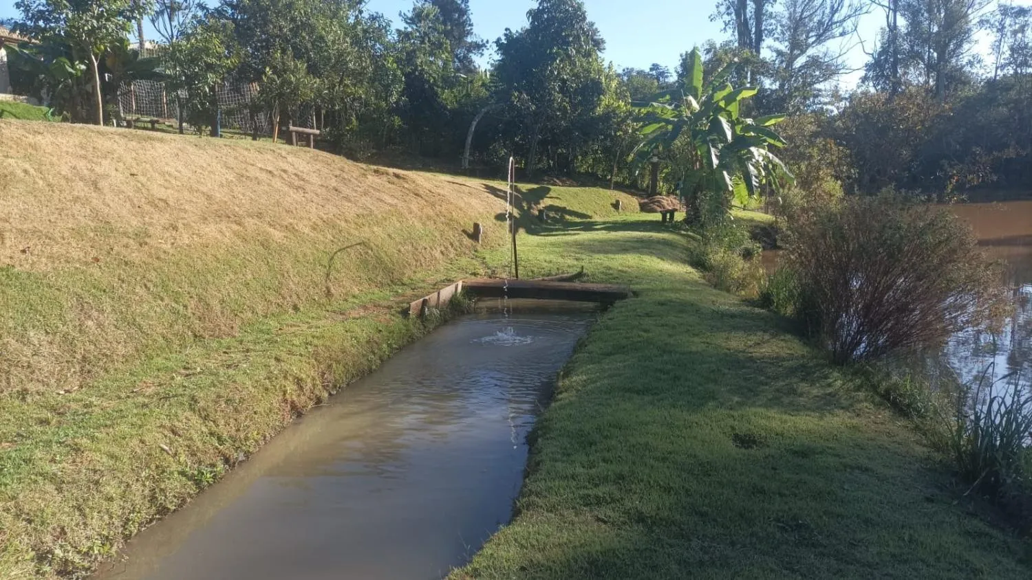 Imagem Excelente Chácara à Venda em Igarapé/MG 2.000 m² de área total,