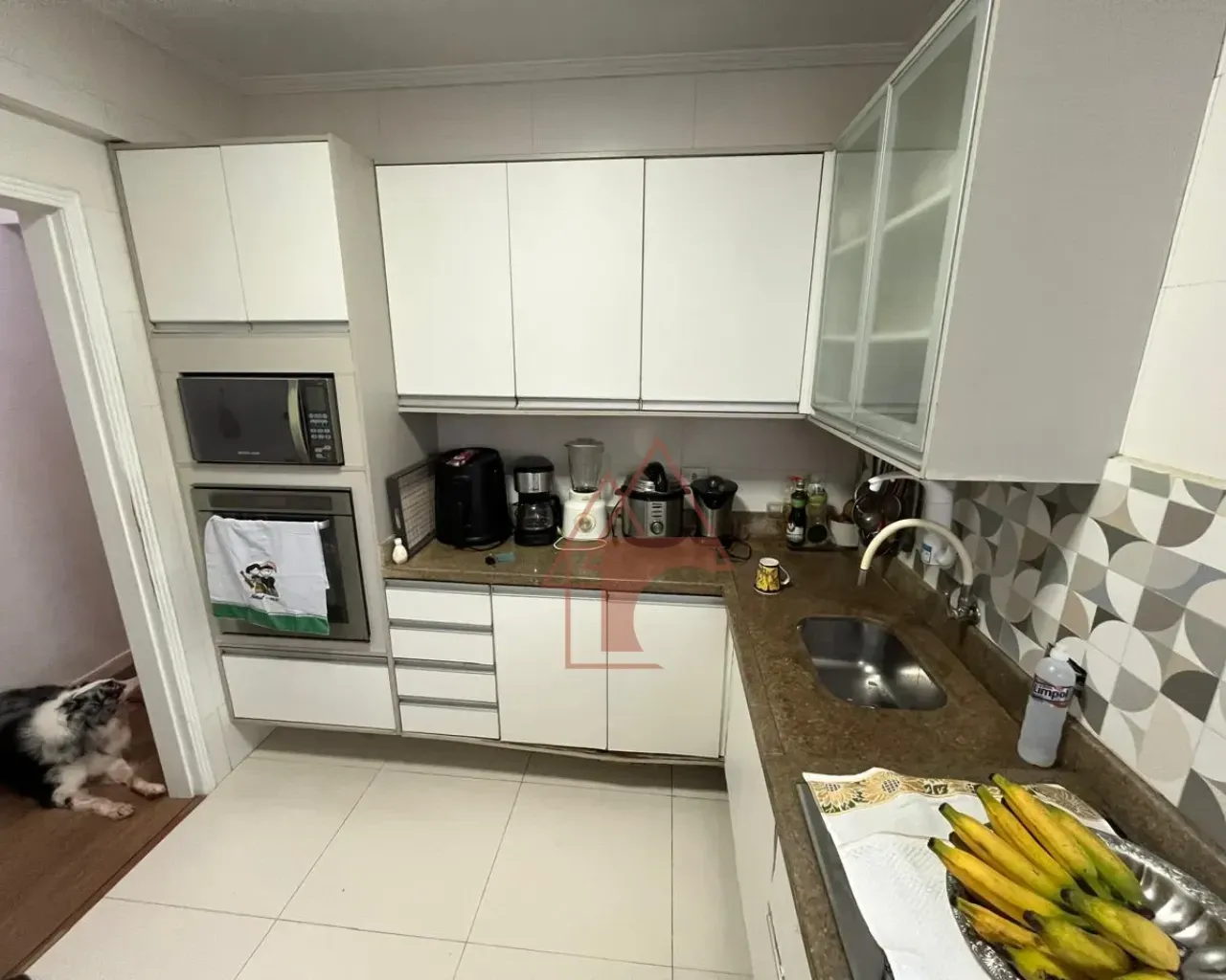 Imagem Apartamento com 2 Quartos à Venda, 73 m² em Vila Belmiro - Santos