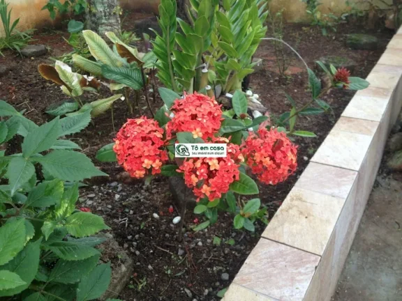 Imagem CASA RESIDENCIAL em CARAGUATATUBA - SP, PRAINHA
