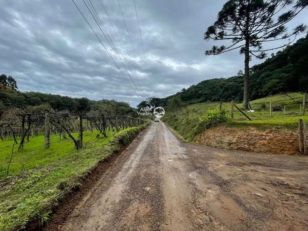 Imagem Terreno à venda, 20000 m2 por R$ 890.000 - Esplanada - Caxias do Sul/RS