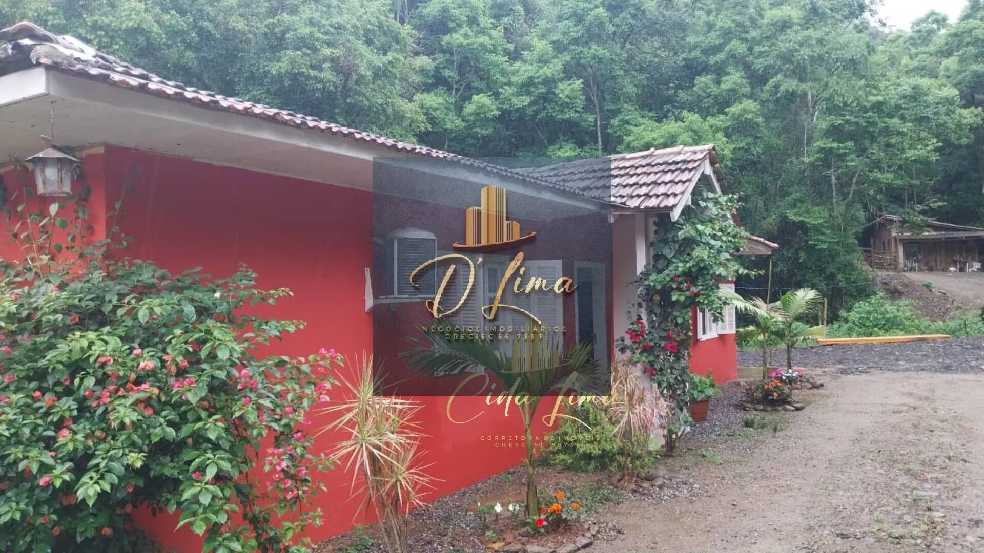 Imagem Vendo sítio/ Chácara, 12 Hectares em Alfredo Wagner SC.