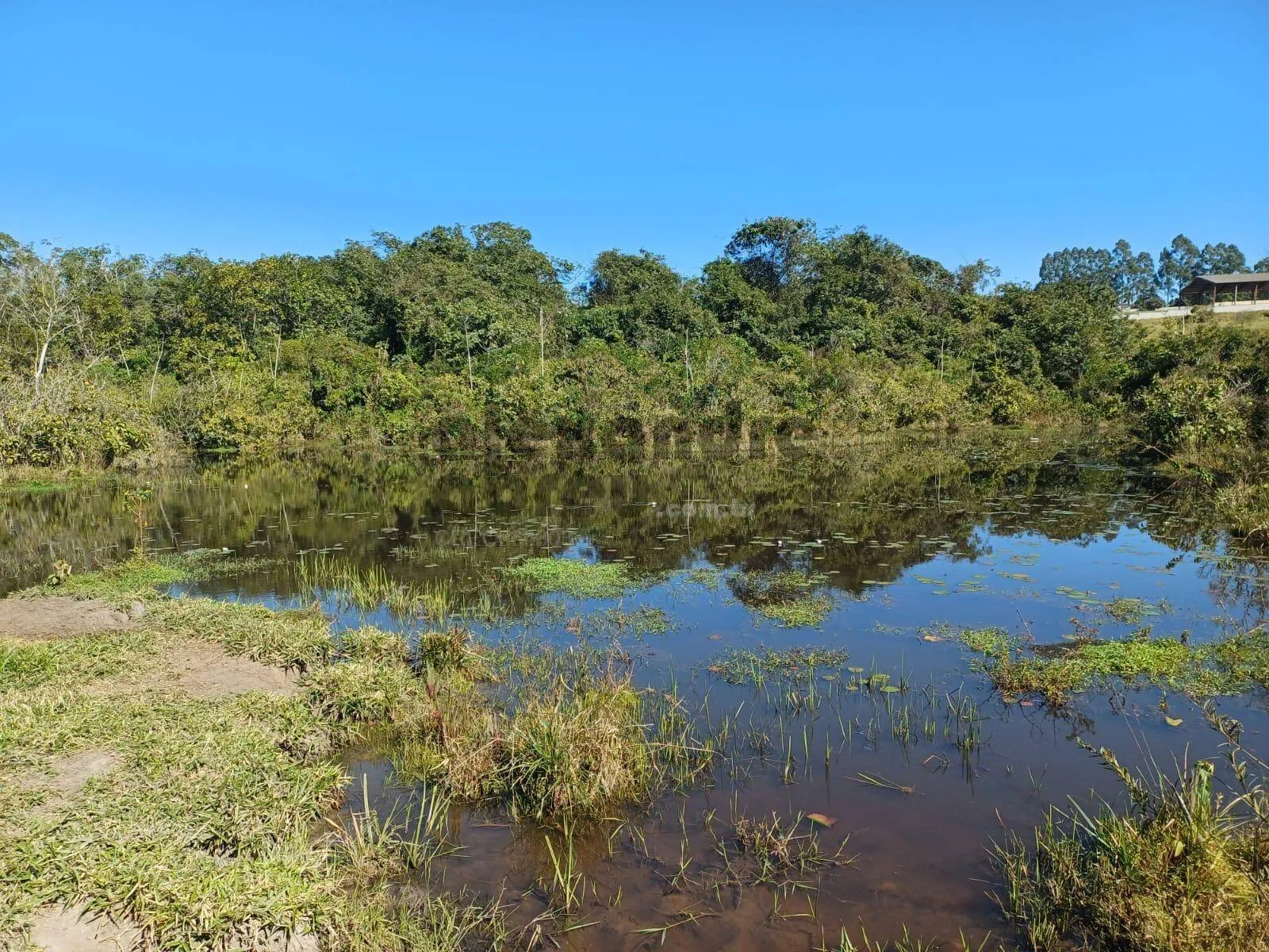 Imagem Sitio com terreno de 4 alqueires ou 96.800 m² à venda