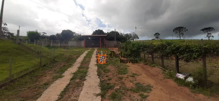 Imagem Chácara com 3 dormitórios à venda, 8000 m² por R$ 680.000,00 - Pinhal Grande - Toledo/MG