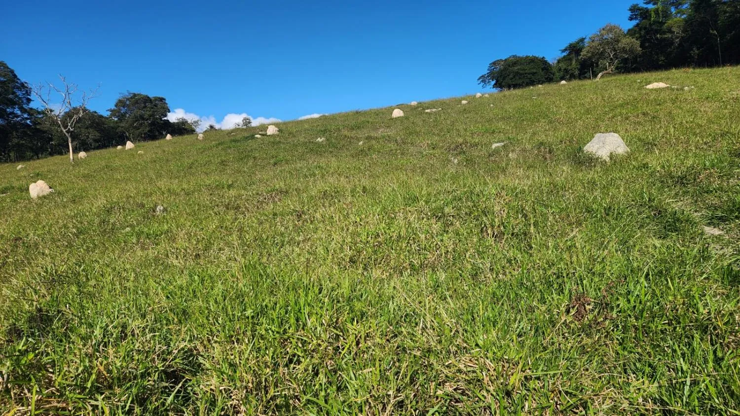 Imagem Vende-se excelente terreno em Bonfim/MG com Área total de 23 hectares, toda formada
