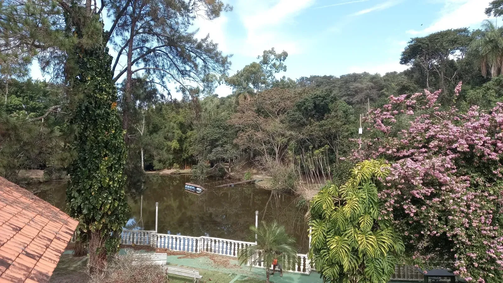 Imagem Fazenda à Venda, 20 HA em Casa Amarela - Betim