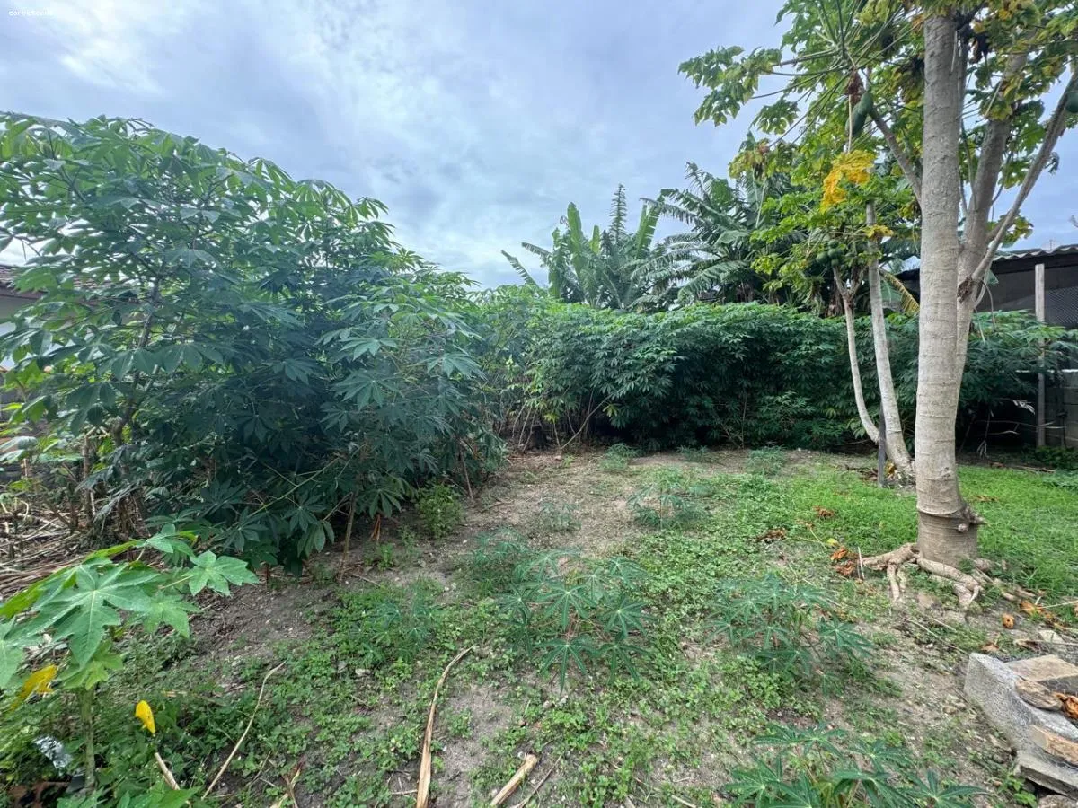 Imagem Terreno para Venda em São Sebastião, São Francisco da Praia