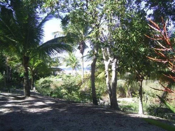Imagem PARAÍSO PIRACANGA