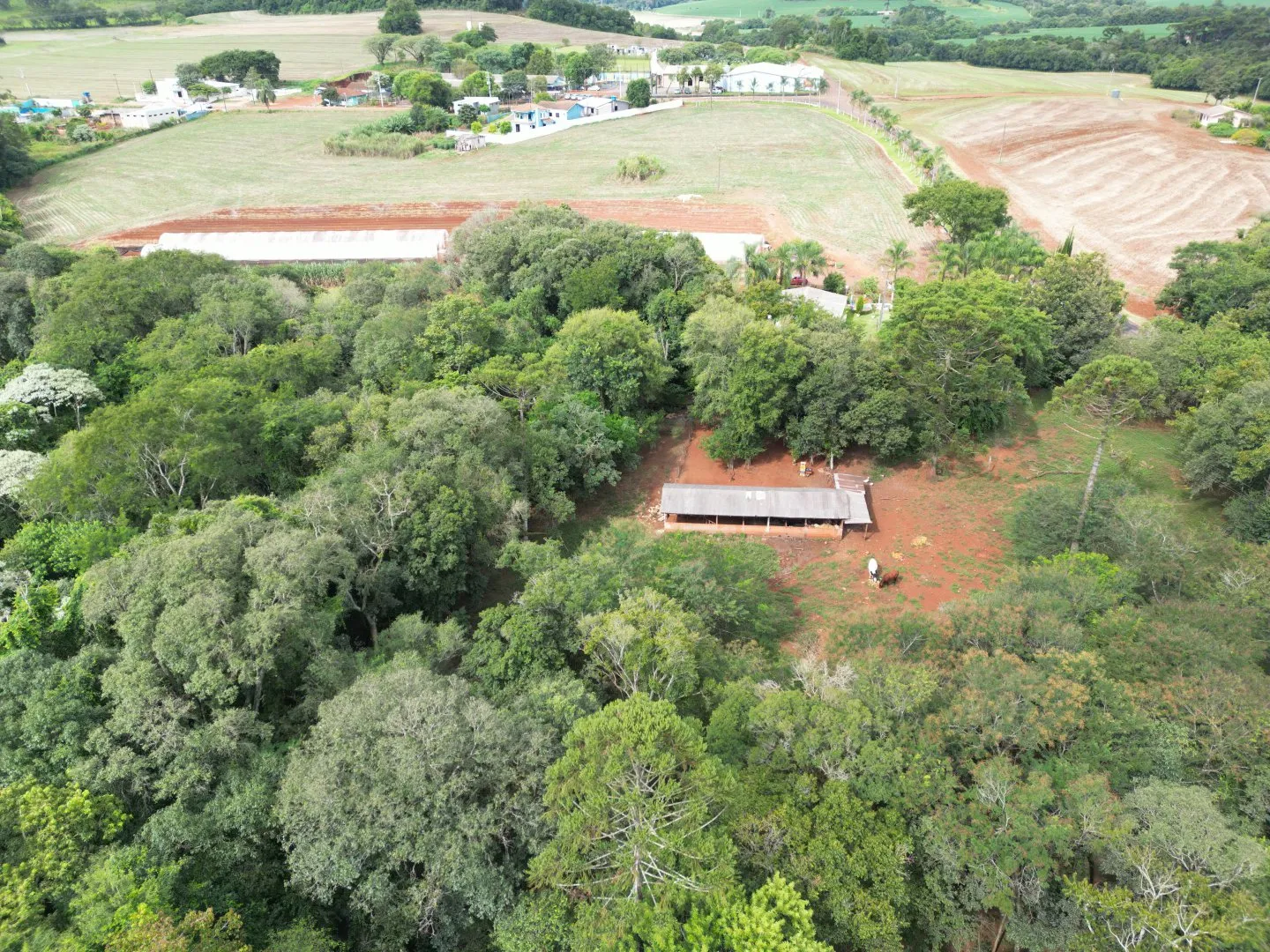Imagem Chácara em Cascavel - Rio do Salto - Venda - Casa Sede, Lago para Pesca e Pomar - Aproveite!