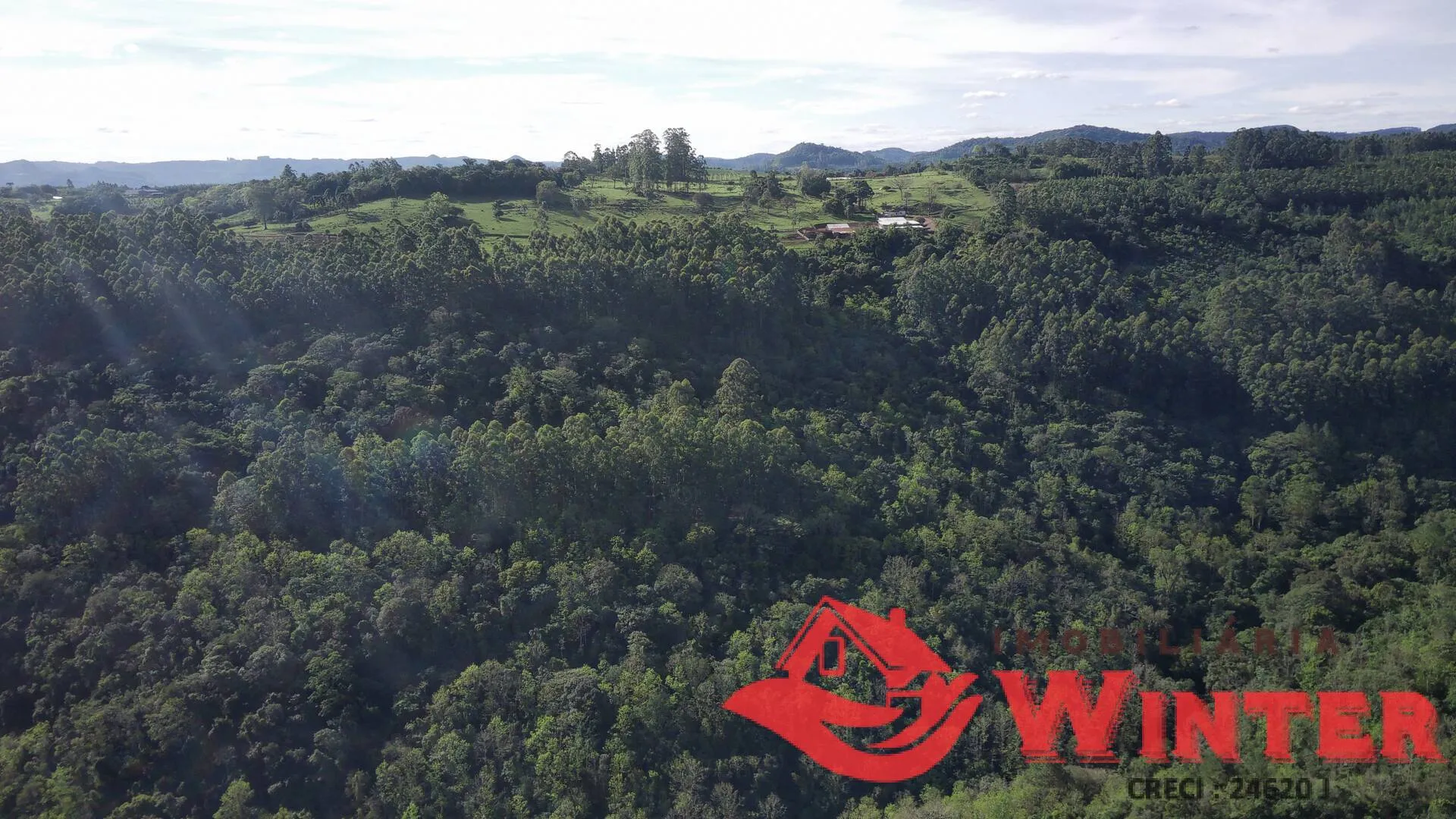 Imagem Área de terras com 7,25 hectares em Morro Grande, Linha Nova.