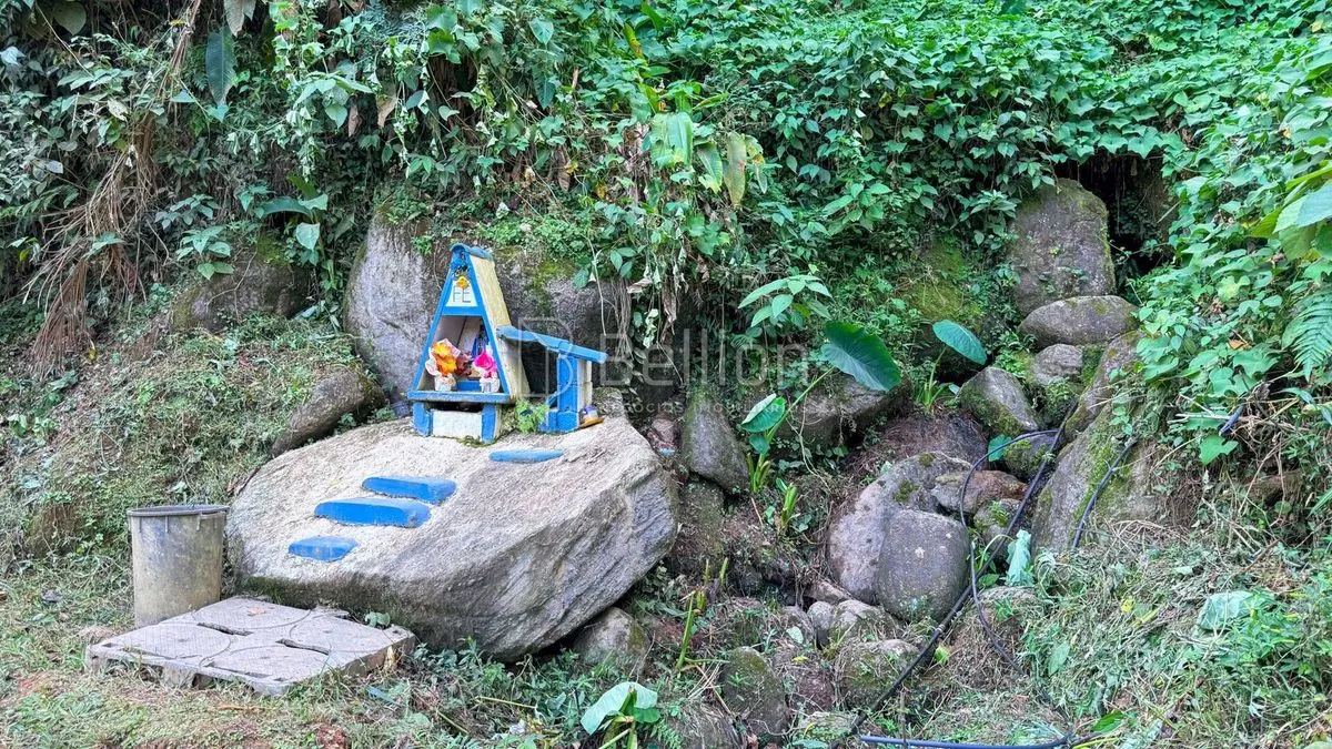 Imagem Terreno à venda em Rio dos Cedros - 45.000 m² com potencial para sítio ou cabanas