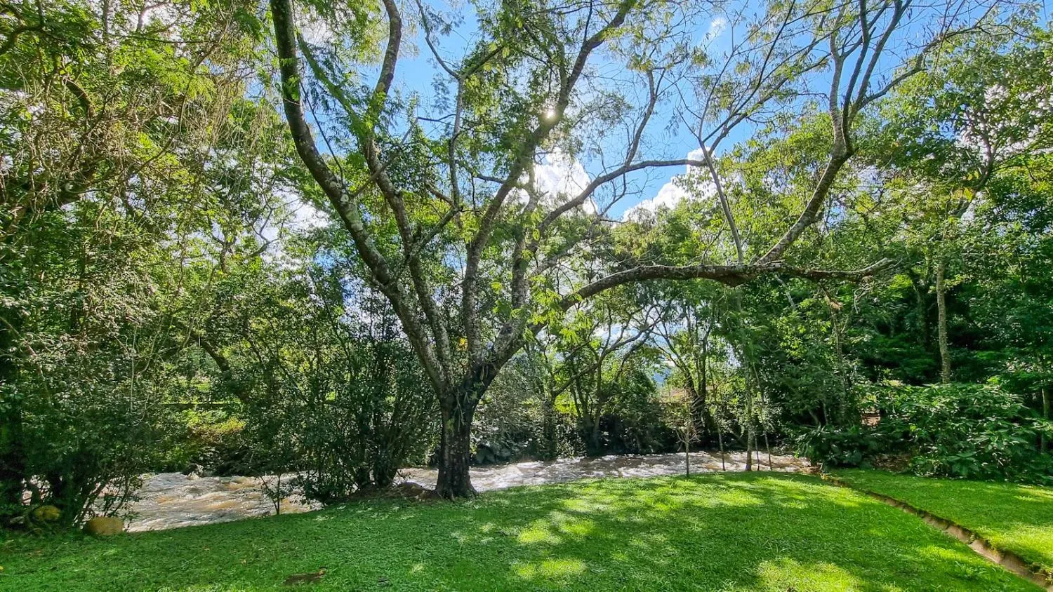 Imagem Oportunidade de Compra: Sítio/Chácara em Joanópolis, SP