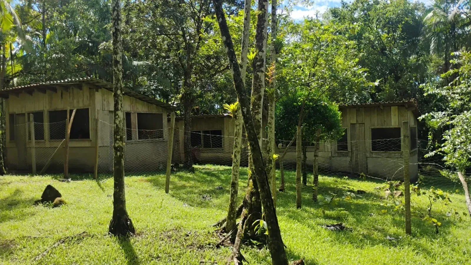 Imagem Chácara com 5 Quartos à Venda, 80.910,95 m² em Morretes - Morretes