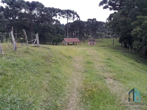 Imagem Chácara a venda, 142.134 M², Bugre, Balsa Nova PR