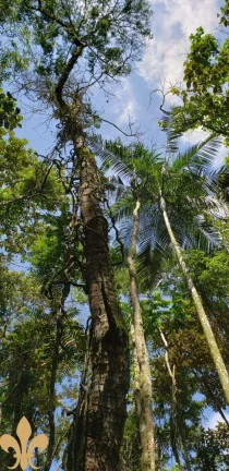 Imagem SITIO RESIDENCIAL em SANTO AMARO DA IMPERATRIZ - SC, Santo Amaro