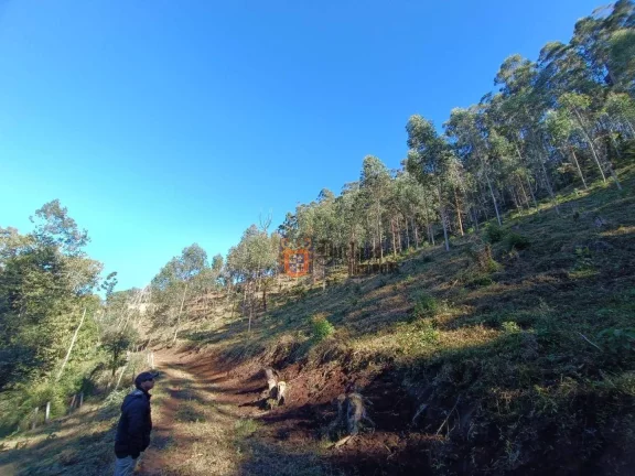 Imagem Área à venda, 145200 m² por R$ 1.300.000,00 - Bom Jardim - Camanducaia/MG